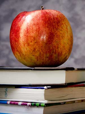 在线手机号轰炸